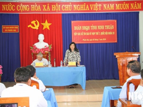 La délégation de l'Assemblée nationale de la province de Ninh Thuan a rencontré les électeurs après la 7e session de la 15e Assemblée nationale dans les communes de Phuoc Dai et Phuoc Nam.