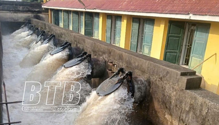 Thai Binh : plus de 30 % de la superficie totale des cultures de printemps est dotée d'eau