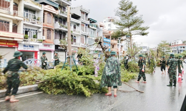 Màu áo xanh trên tuyến đầu