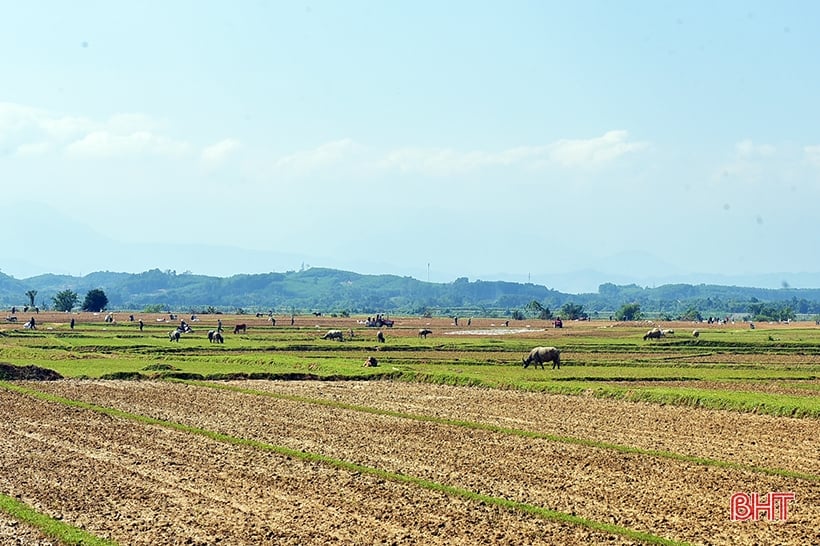 កសិករ Huong Khe កំពុងមមាញឹកក្នុងការសាបព្រួសដំណាំរដូវរងា។