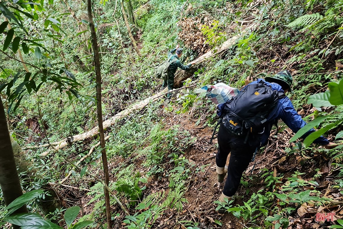 Discover the hidden beauty of Vu Quang National Park