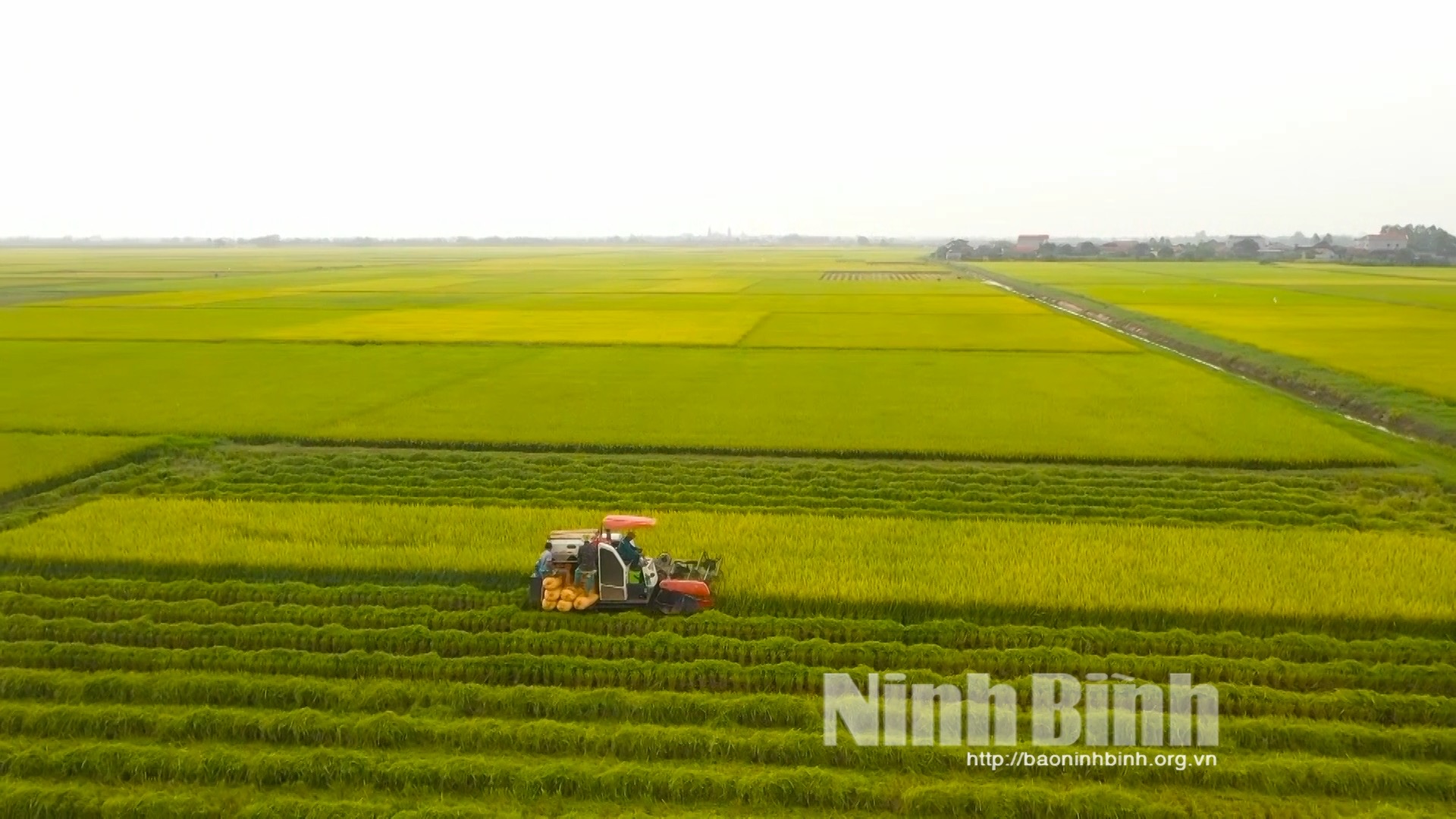 Yen Khanh - A bright spot on the country's advanced new rural map