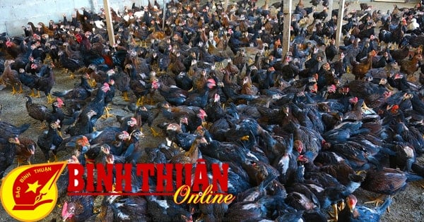 Urge and prevent avian influenza