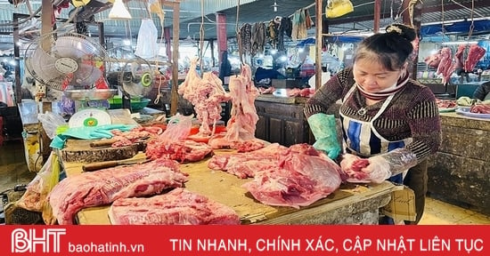 Người tiêu dùng không nên quá lo lắng trước dịch tả lợn châu Phi