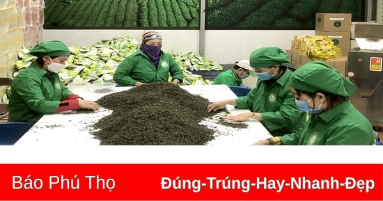 Động lực thúc đẩy đổi mới, phát triển kinh tế tập thể