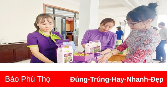 Đổi mới tổ chức sản xuất ở nông thôn