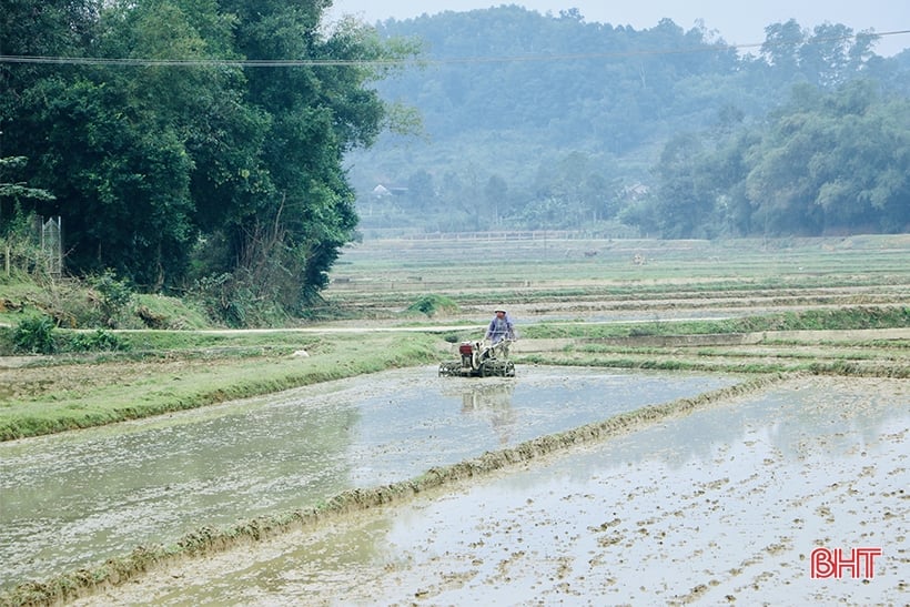 Người dân Vũ Quang phấn khởi ra đồng sản xuất lúa xuân