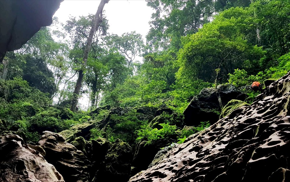 Ursprünglicher Wald vor der Gieng-Vooc-Höhle. Foto von : Le Phi Long