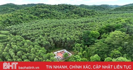 Visite du sanctuaire de 6 jeunes femmes volontaires martyres au milieu de la forêt de Huong Khe