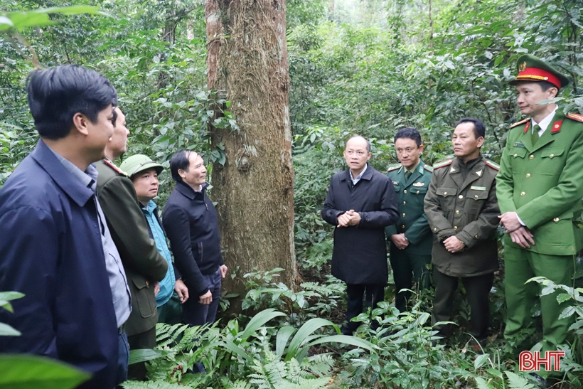 산림보호법 위반 시 엄격히 처리합니다.