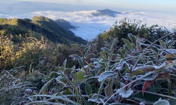 Los turistas vietnamitas se emocionan al ver la primera nevada de la temporada