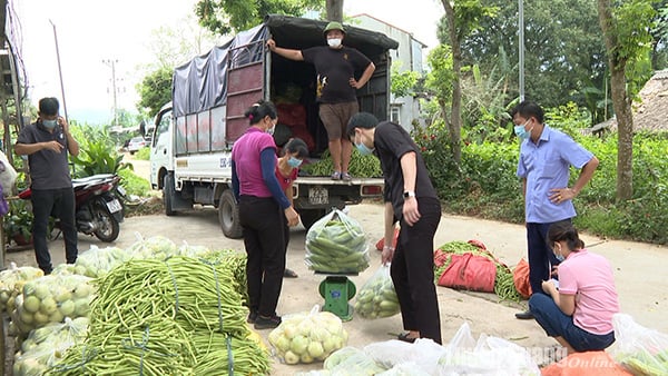 Đẩy mạnh phong trào thi đua yêu nước chào mừng Đại hội Thi đua yêu nước toàn quốc lần thứ XI