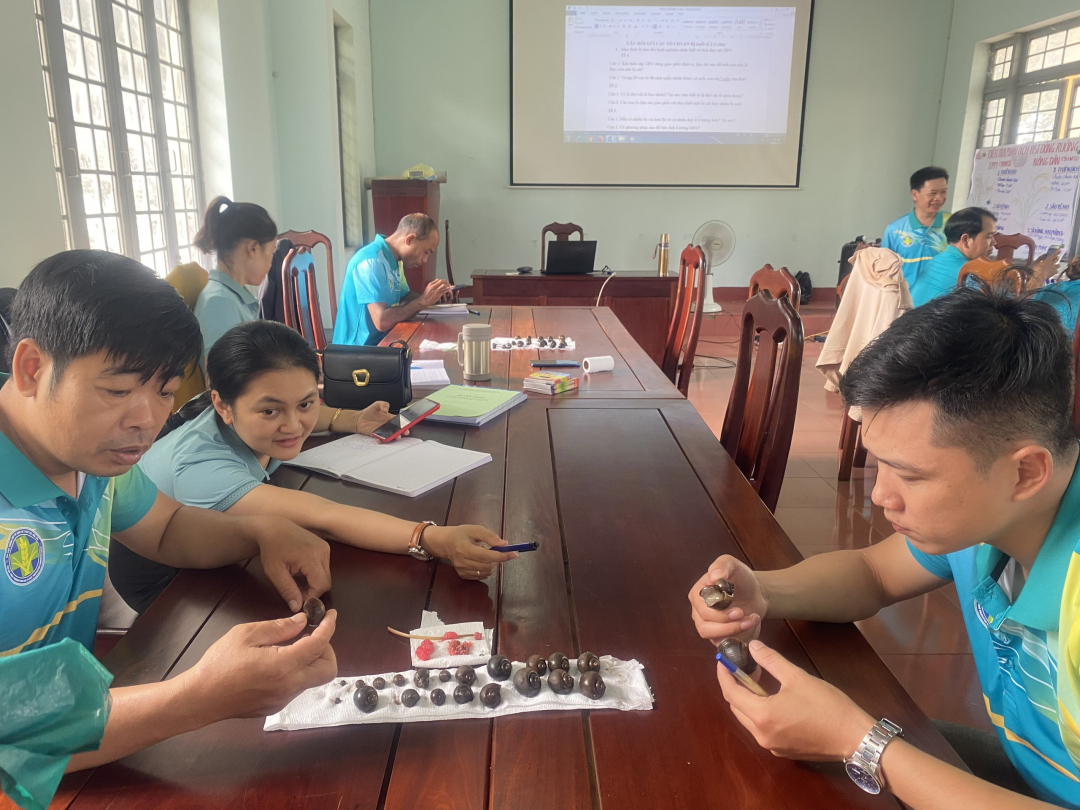 Les participants au cours de formation sur la gestion intégrée des ravageurs (IPM) de Dak Lak reçoivent des instructions sur la manière d'identifier et de prévenir les escargots dorés.