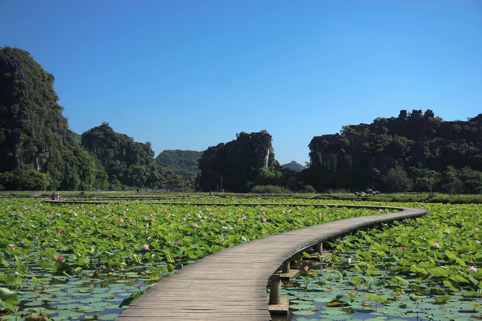 មិនមានការពិពណ៌នារូបថតទេ។