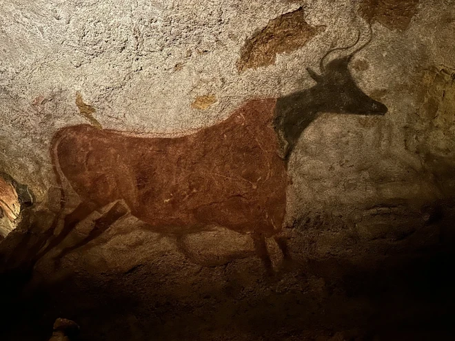 Algunas imágenes están recreadas según la versión original de la cueva de Lascaux II. (Foto: Nguyen Thu Ha/VNA)