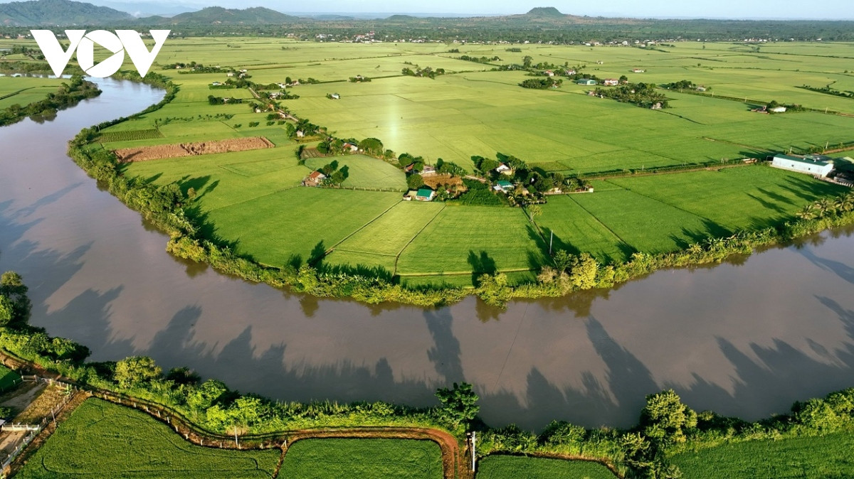 Dong xanh, mua vang o noi giao duyen giua song sau va nui lua hinh anh 1