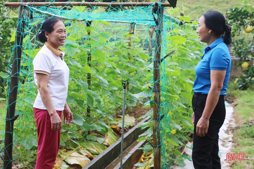 สตรีผู้ทุ่มเทในหมู่บ้านบ้านเกิดของเลขาธิการ Tran Phu