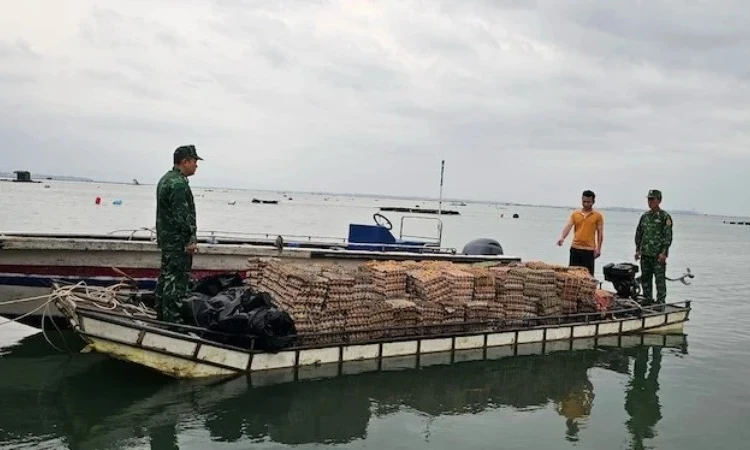 Усиление борьбы с нарушениями в сфере торговли скотом и птицей