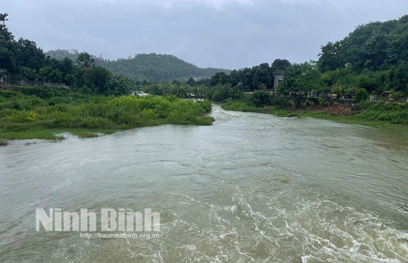 Focus on flood control to protect rice and crops after storm No. 3