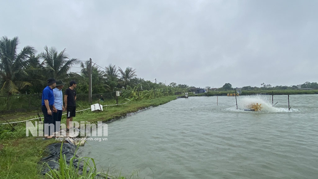 Hiệu quả các mô hình kinh tế của thanh niên xã Văn Hải