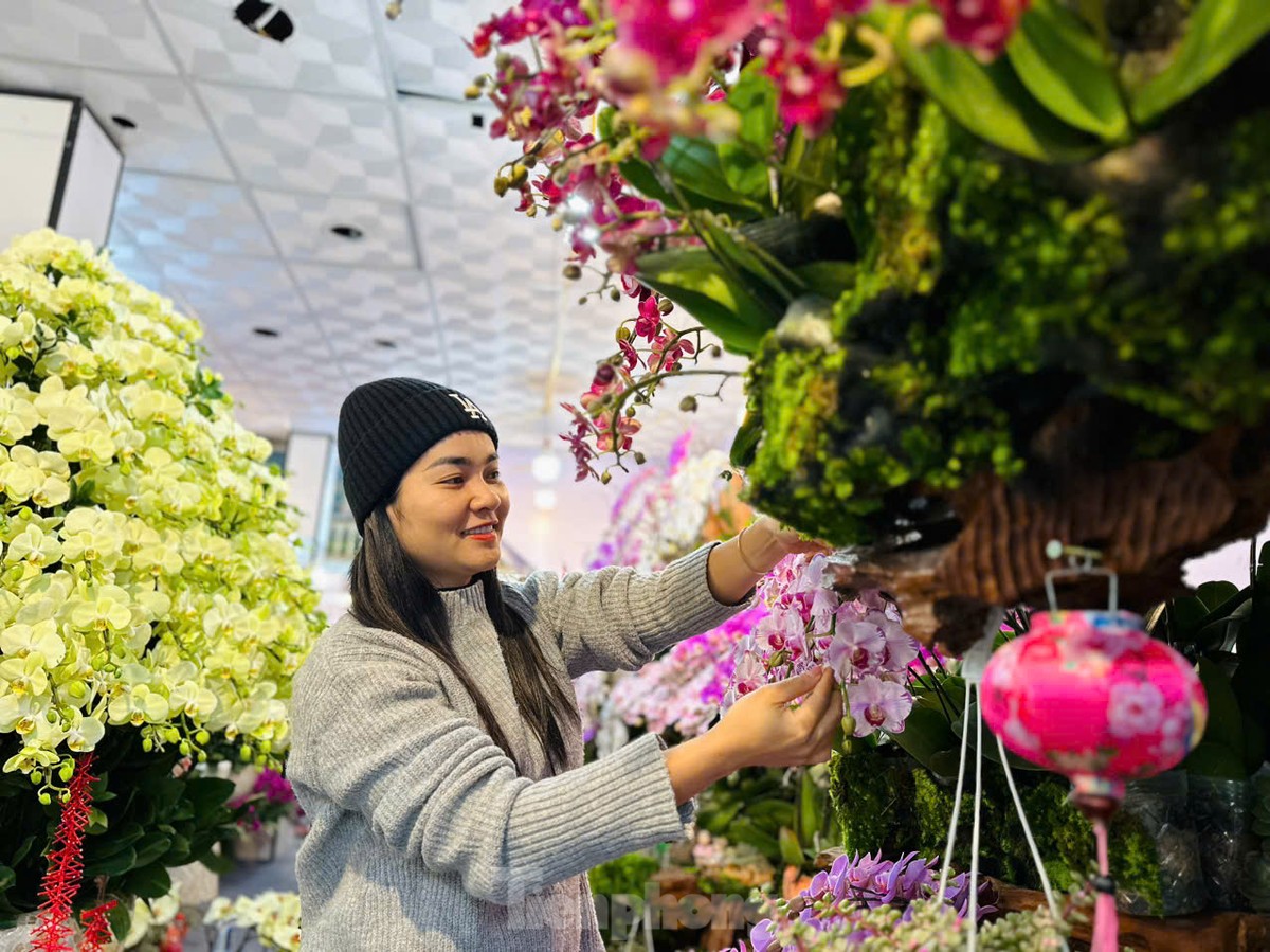 Pot d'orchidée unique avec 300 branches sur bois flotté, d'une valeur de plusieurs centaines de millions de dongs photo 9