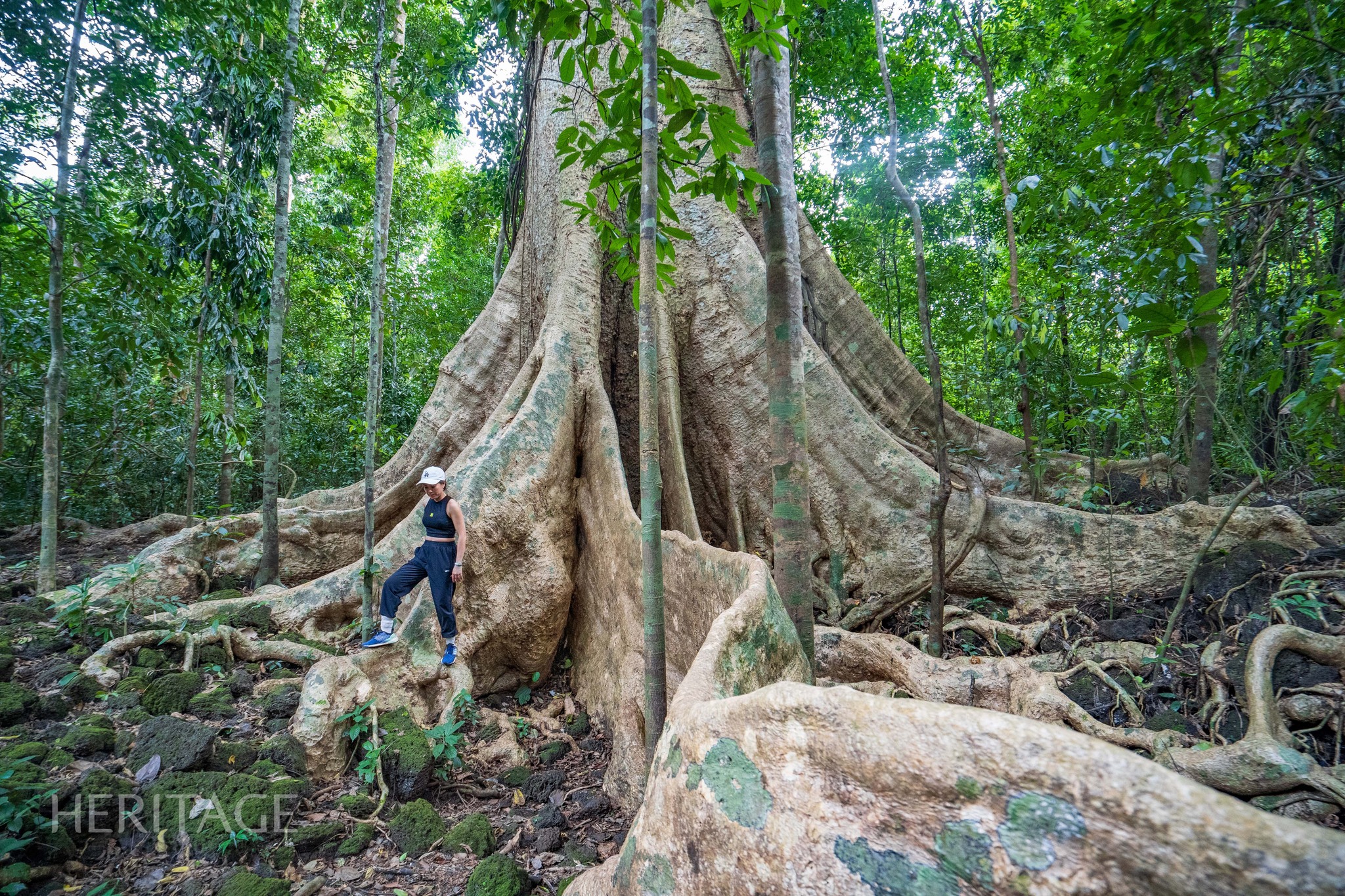 Không có mô tả ảnh.