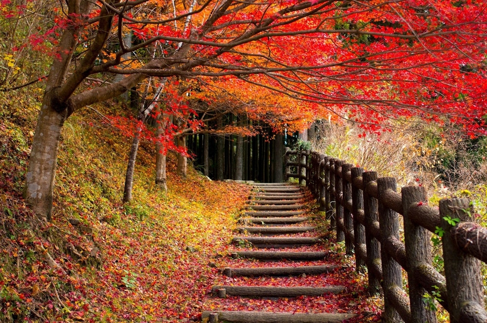 Drei Herbstwanderrouten in Japan