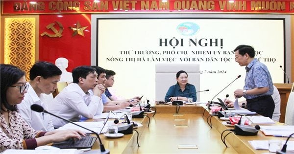 La vice-ministre et vice-présidente du Comité ethnique, Nong Thi Ha, a visité et travaillé avec le Comité ethnique de la province de Phu Tho