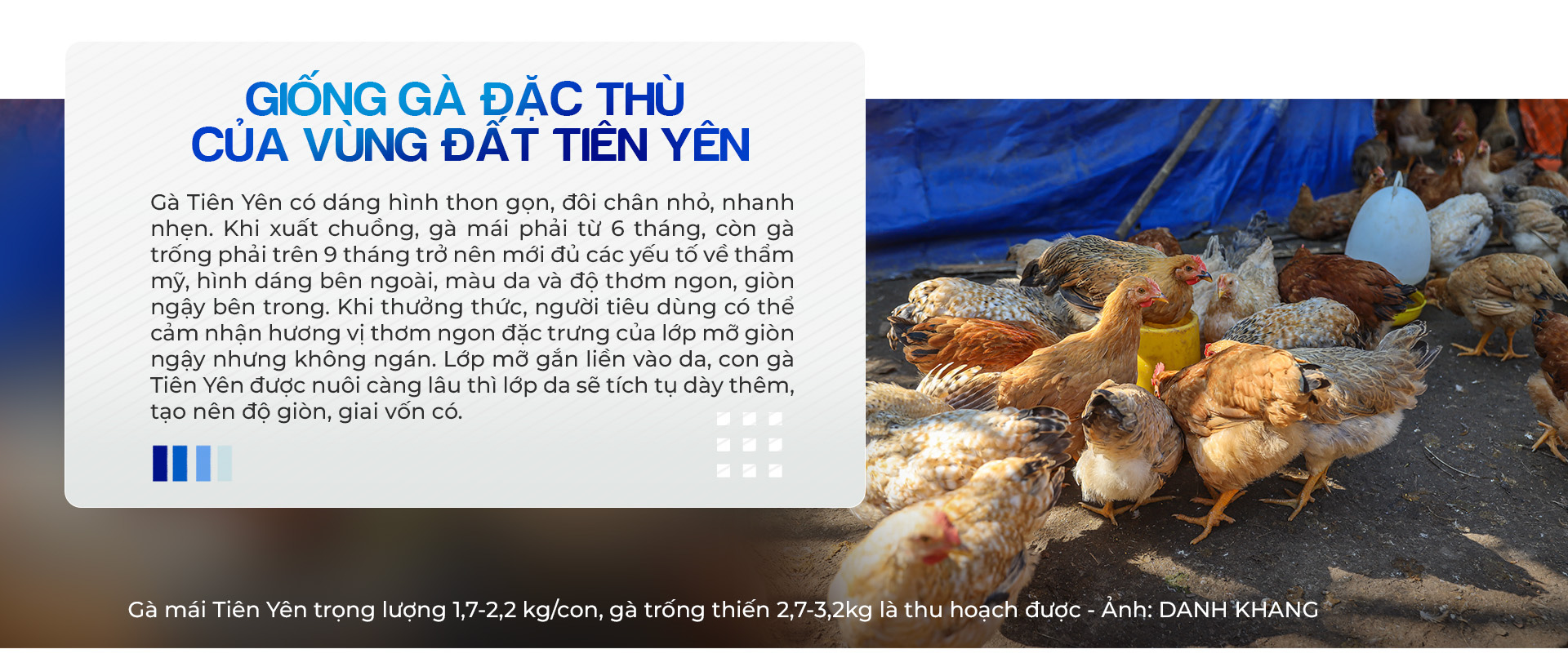 Sức trẻ dấn thân của tuổi trẻ Quảng Ninh - Ảnh 12.