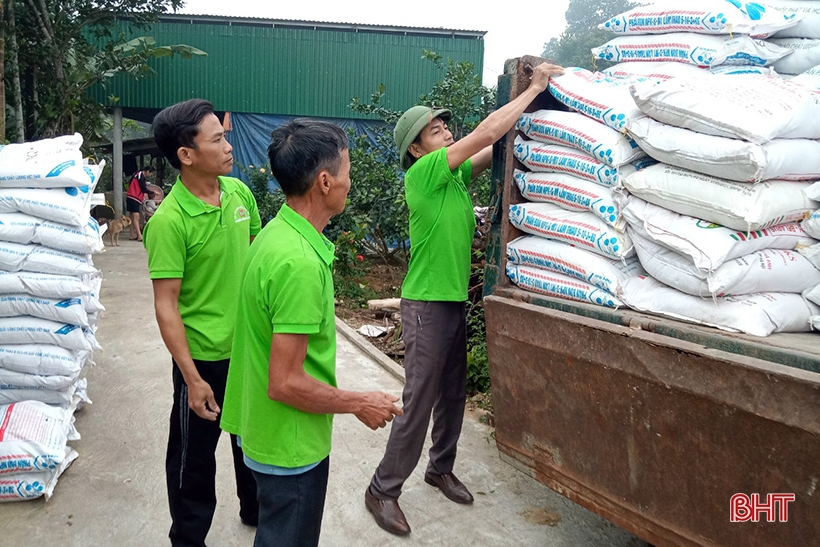 Les agriculteurs de Huong Khe sont occupés à semer les cultures d'hiver.