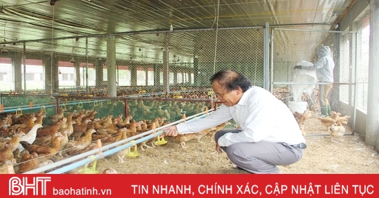 Lộc Hà đa dạng cách thức sản xuất trong xây dựng nông thôn mới