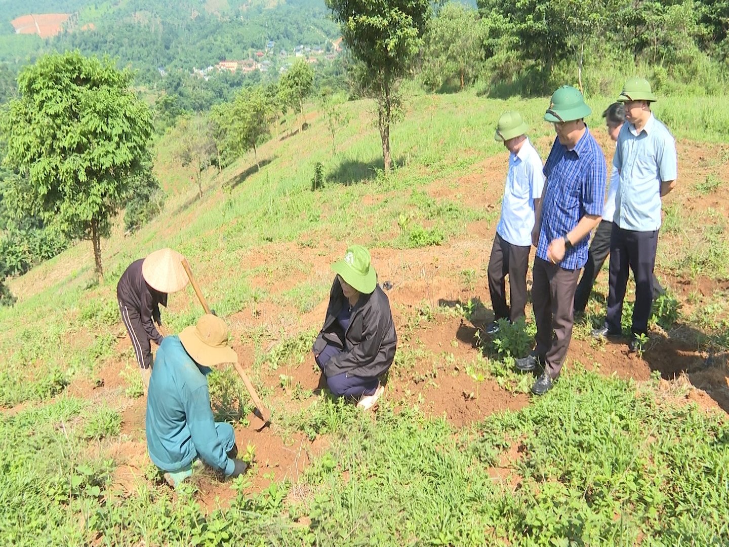 Bà Giàng Thị Hoa, Phó Chủ tịch HĐND tỉnh Điện Biên và ông Nguyễn Tiến Đạt, Bí thư huyện Mường Ảng cùng Đoàn Công tác thăm mô hình trồng cây cà phê của người dân tại địa bàn huyện Mường Ảng.