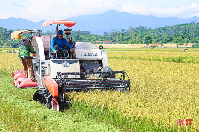 “Giải mã” tăng trưởng kinh tế 8,05% của Hà Tĩnh