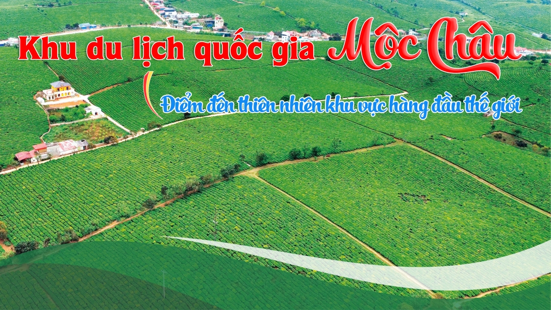https://baonamdinh.vn/file/e7837c02816d130b0181a995d7ad7e96/052024/1_20240510175922.jpg