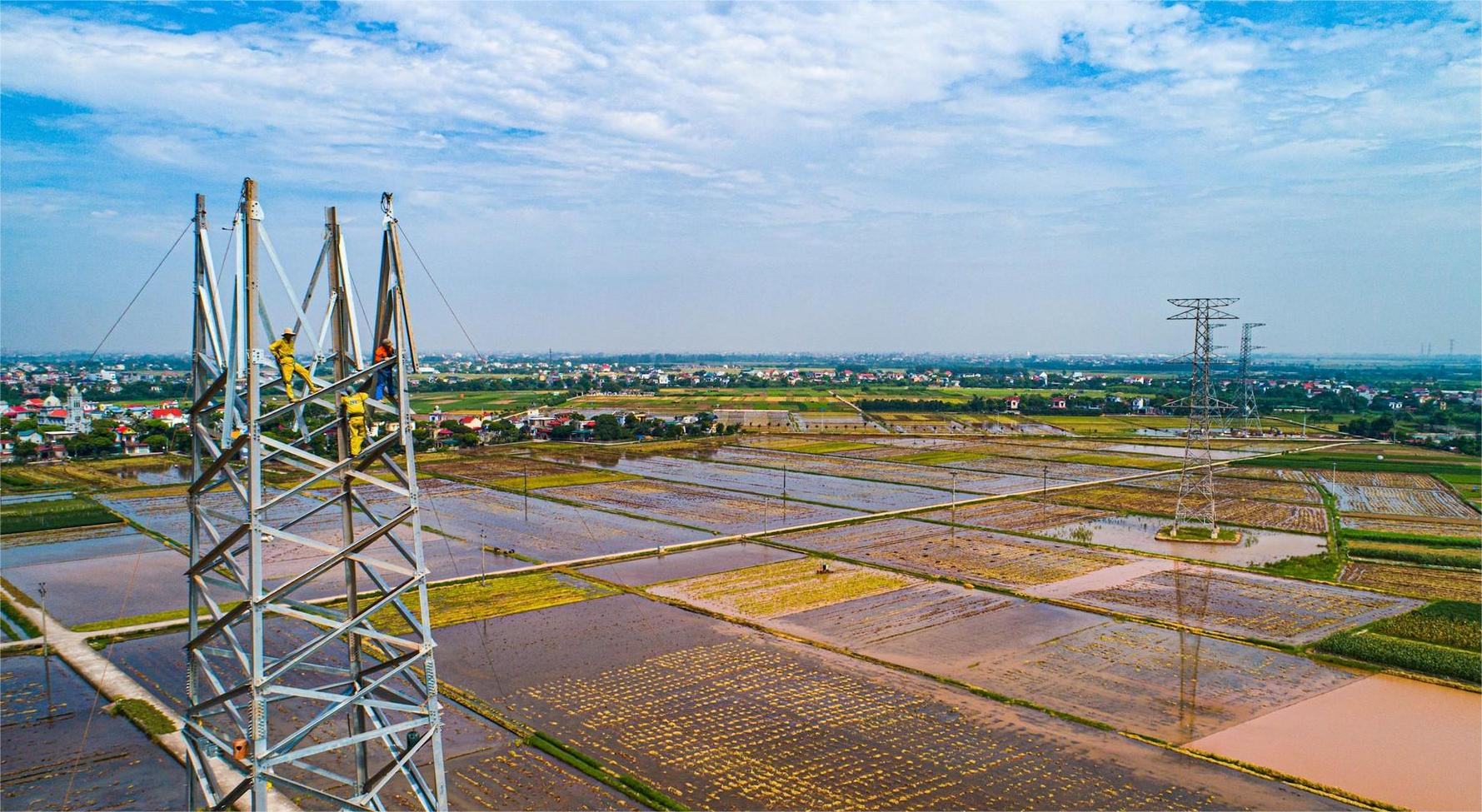 "ជំនះព្រះអាទិត្យ ជំនះភ្លៀង" គម្រោងខ្សែបញ្ជូន 500kV ឆ្លងកាត់ទីក្រុង Hai Duong