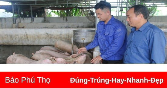 Văn Miếu phát triển mô hình kinh tế giảm nghèo bền vững