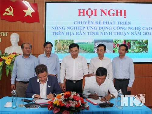 Hội nghị chuyên đề phát triển nông nghiệp ứng dụng công nghệ cao năm 2024