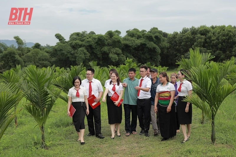 ประสานงานการเผยแพร่นโยบายสินเชื่อเพื่อการเกษตร ชนบท และเกษตรกร