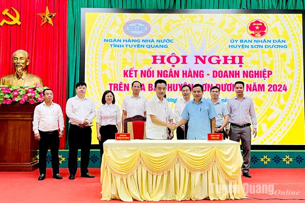 Ngân hàng trợ lực doanh nghiệp