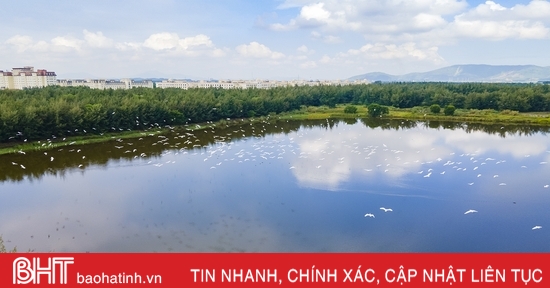 Discover the unique ecosystem in Vietnam's largest steel factory