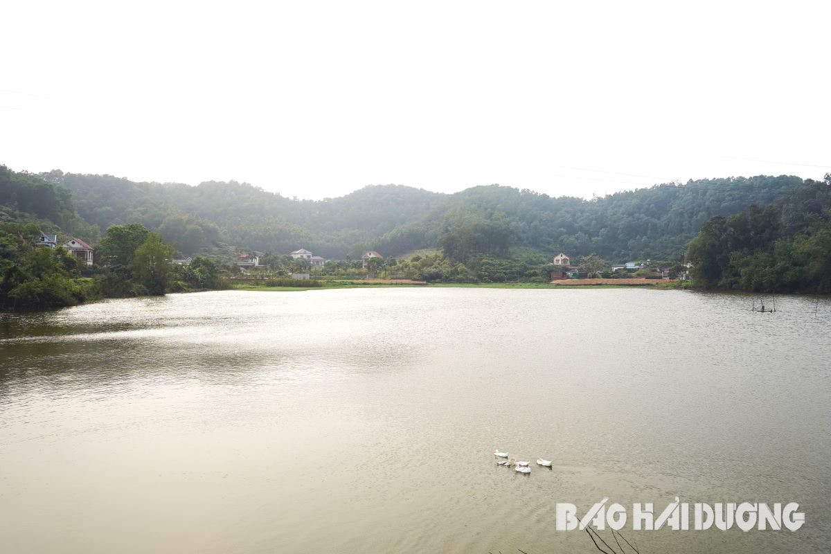 eine Ecke des Thanh-Long-Seegebiets, die zu Ben Xa Le Loi Chi Linh City gehört.jpg