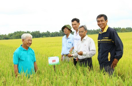 ภาคการเกษตรเน้นสร้างพื้นที่ปลูกข้าว ปรับปรุงคุณภาพพันธุ์ข้าว มีส่วนสนับสนุนการเพิ่มมูลค่าเมล็ดข้าว และมุ่งสู่การสร้างแบรนด์ข้าวของจังหวัด