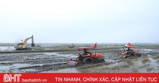 More than 2.4 billion VND invested in the first high-quality rice growing project in Ha Tinh city