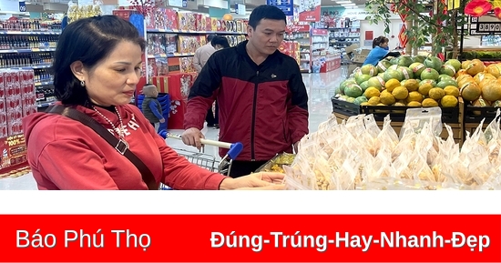 Đồng bộ hạ tầng, phát triển thương mại, dịch vụ