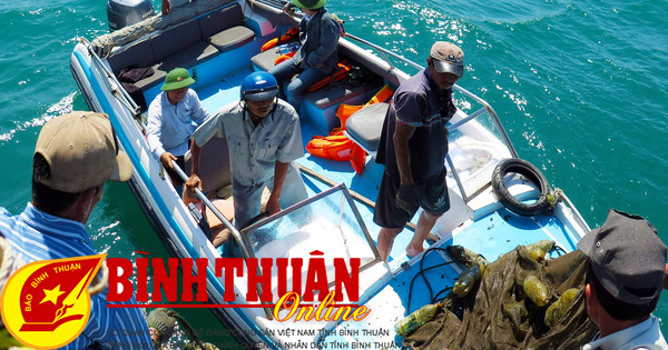 Binh Thuan implements the National Program to protect and develop aquatic resources to 2030