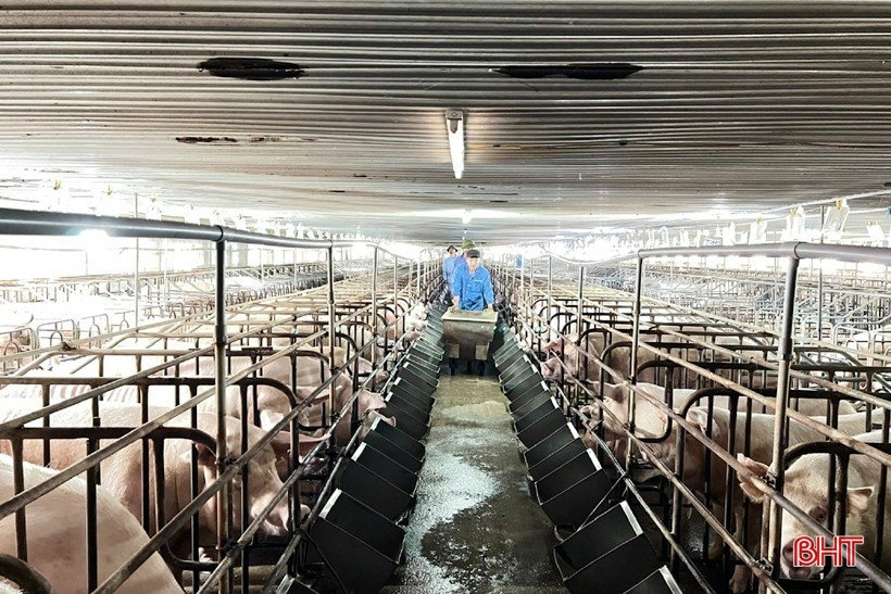 “Tung” nhiều gói tín dụng hấp dẫn dành riêng cho doanh nghiệp