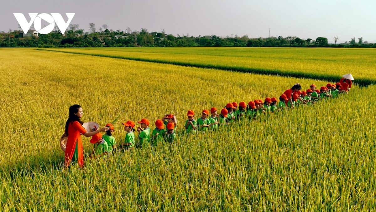 Dong xanh, mua vang o noi giao duyen giua song sau va nui lua hinh anh 10