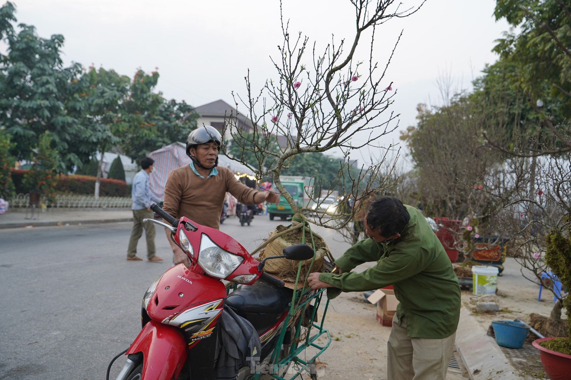 Nhộn nhịp chợ hoa Tết ở thành phố vùng biên ảnh 10