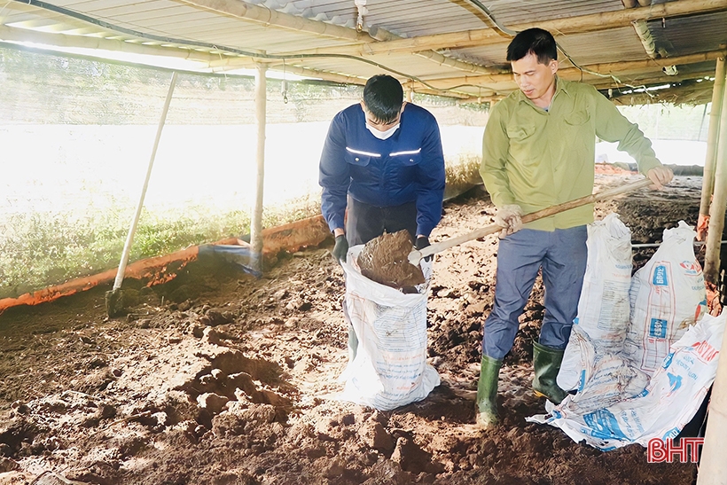 Prospects from earthworm farming model in Vu Quang