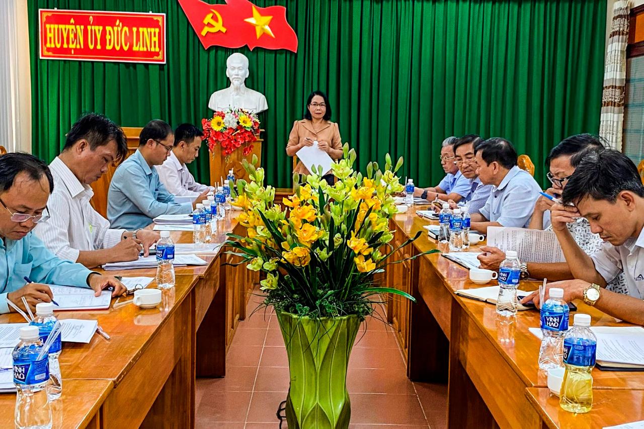 ban-phap-che-hdnd-tinh-giam-sat-ubnd-huyen-duc-linh.jpg